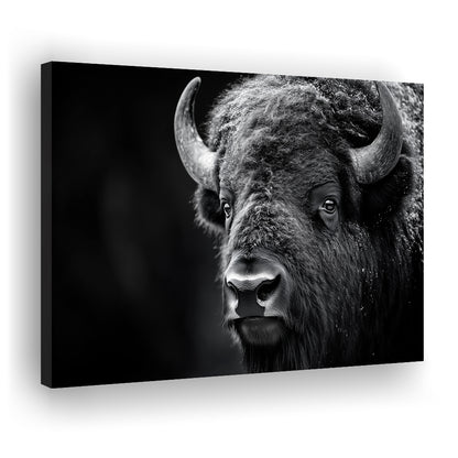 Bison Close up Portrait Black and White, Canvas Art Decor Print, Painting Art, Canvas Print Wall Art Home Decor