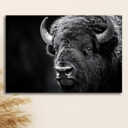 Bison Close up Portrait Black and White, Canvas Art Decor Print, Painting Art, Canvas Print Wall Art Home Decor