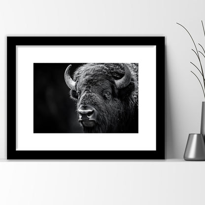 Bison Close up Portrait Black and White, Framed  Print, Painting Art, Framed Art Print White Border Wall Decor