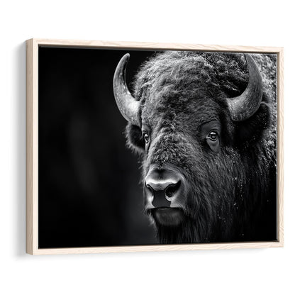 Bison Close up Portrait Black and White, Framed Canvas Print, Painting Art, Floating Framed Canvas Print Wall Art