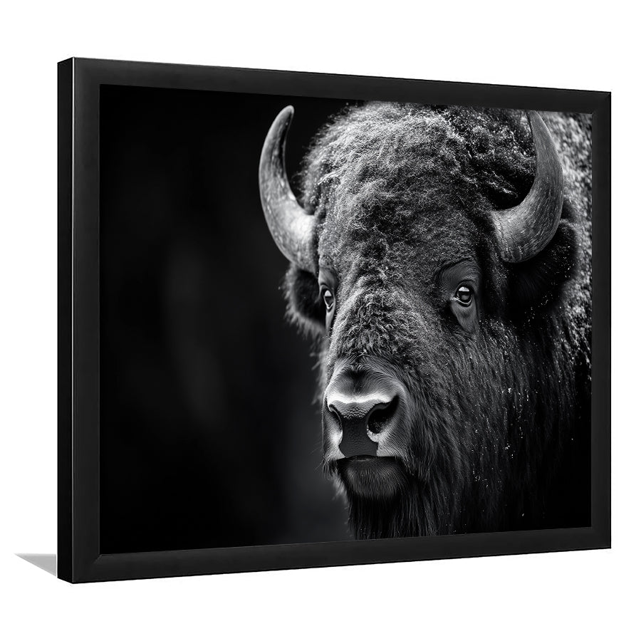 Bison Close up Portrait Black and White, Framed  Print, Painting Art, Framed Art Print Wall Decor, Framed Picture