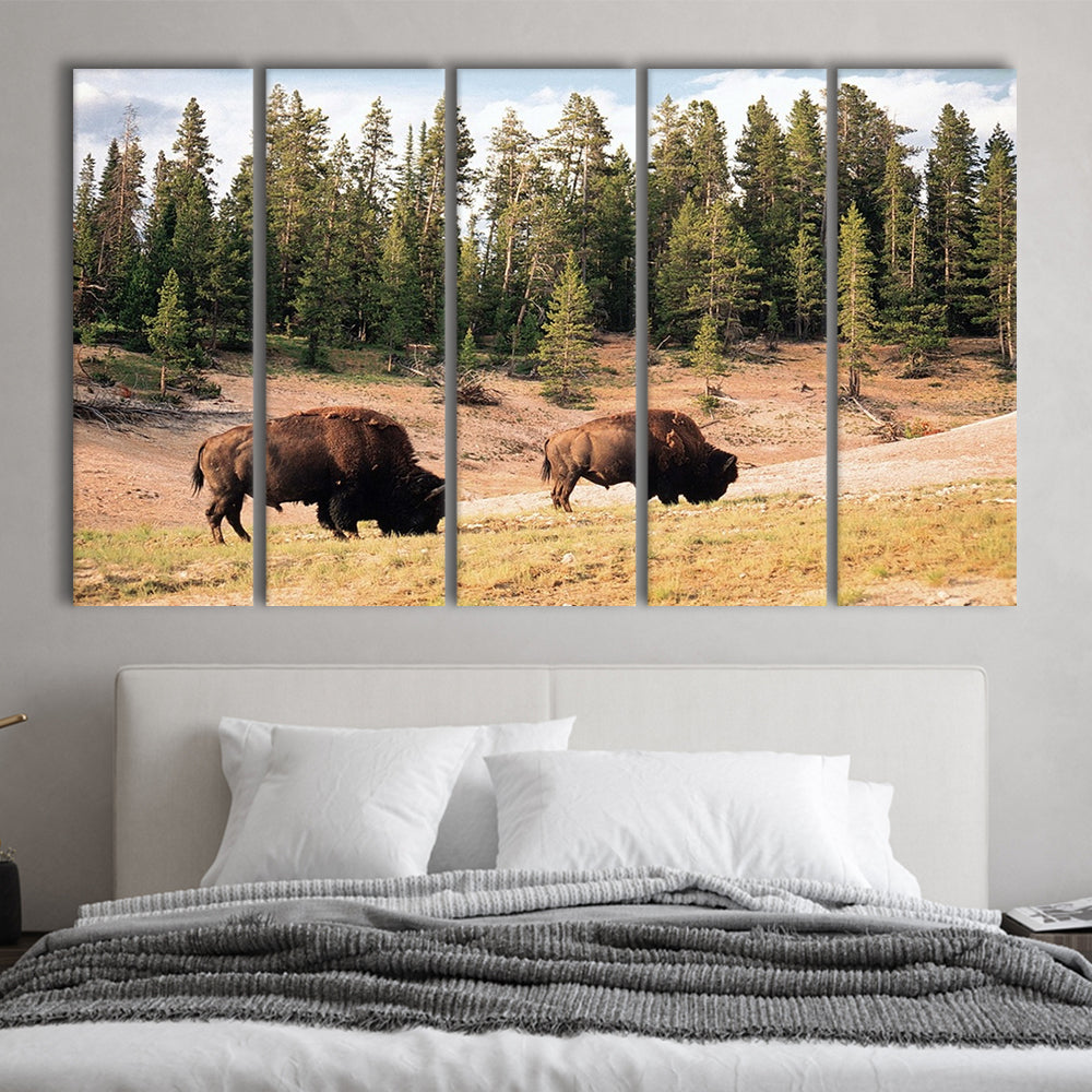 Bison in Yellowstone National Park Large Stretched Canvas, 5 Piece B Extra Large Cavas Print Wall Art Decor