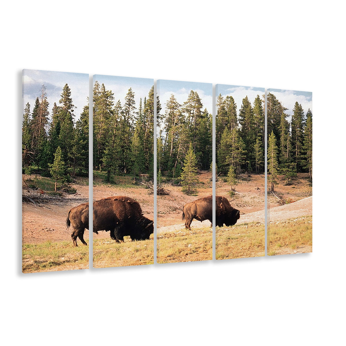 Bison in Yellowstone National Park Large Stretched Canvas, 5 Piece B Extra Large Cavas Print Wall Art Decor