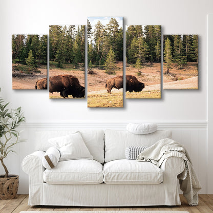 Bison in Yellowstone National Park Large Stretched Canvas, 5 Piece Large Cavas Print Wall Art