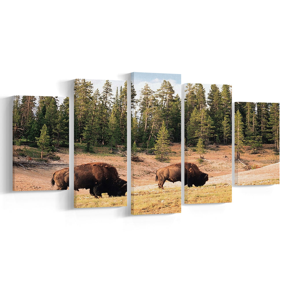 Bison in Yellowstone National Park Large Stretched Canvas, 5 Piece Large Cavas Print Wall Art