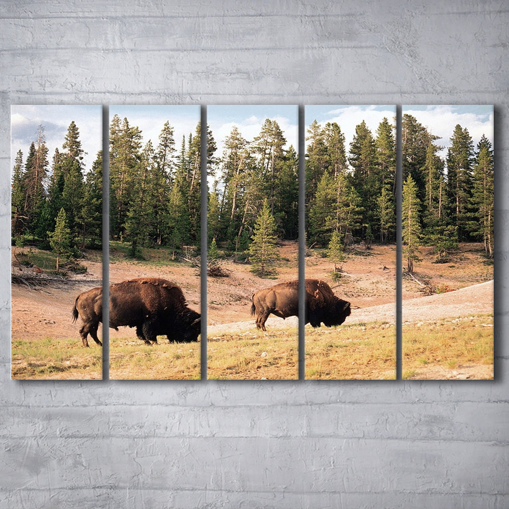 Bison in Yellowstone National Park Large Stretched Canvas, 5 Piece B Extra Large Cavas Print Wall Art Decor