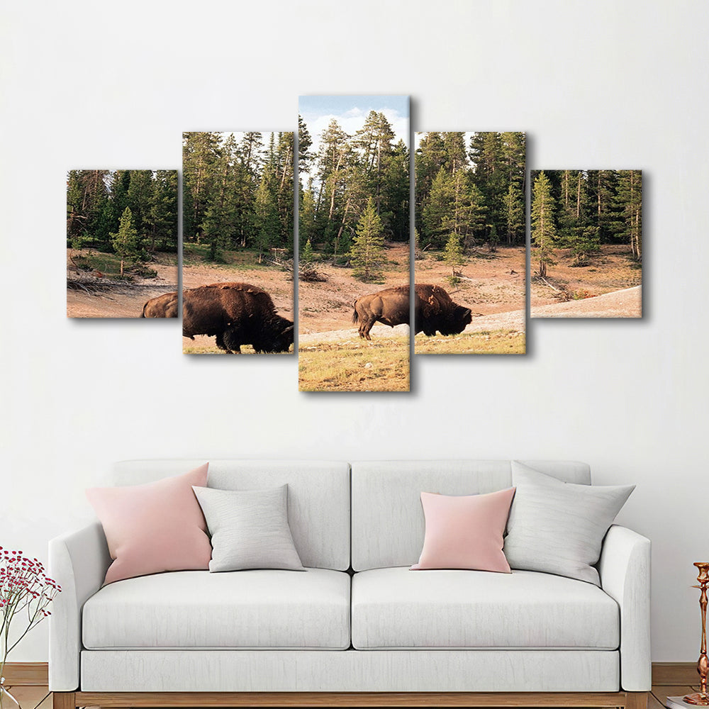 Bison in Yellowstone National Park Large Stretched Canvas, 5 Piece Large Cavas Print Wall Art