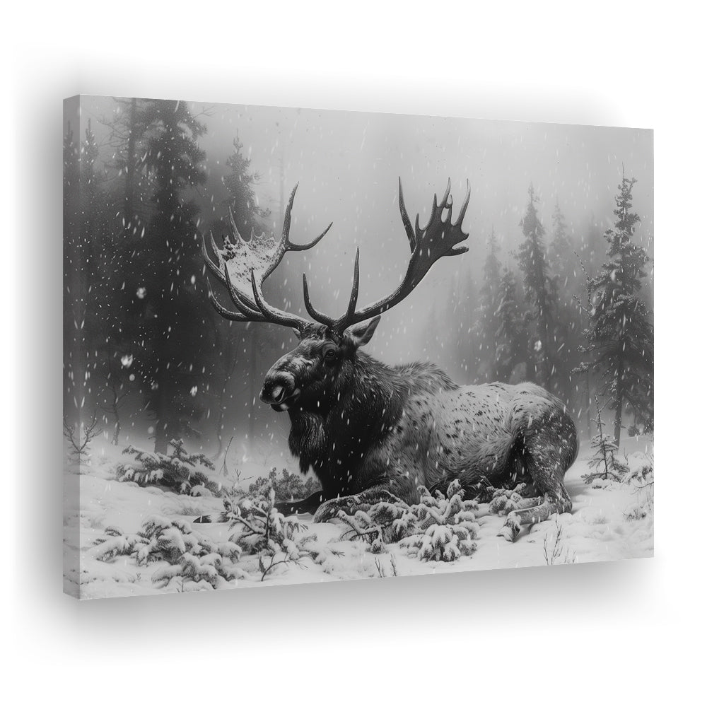 Black And White A Large Moose Lying in Winter Forest, Canvas Print Wall Art Home Decor