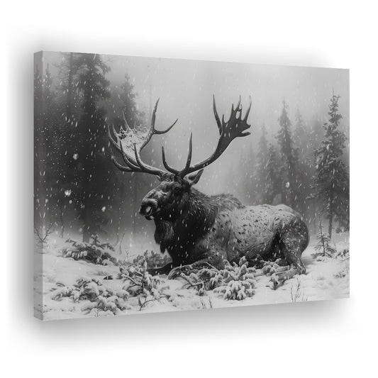 Black And White A Large Moose Lying in Winter Forest, Canvas Print Wall Art Home Decor
