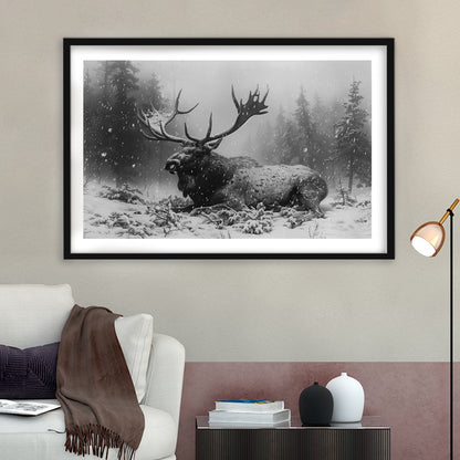 Black And White A Large Moose Lying in Winter Forest, Framed Art Print White Border Wall Decor
