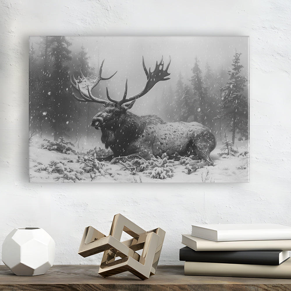 Black And White A Large Moose Lying in Winter Forest, Canvas Print Wall Art Home Decor