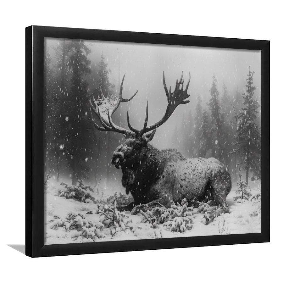 Black And White A Large Moose Lying in Winter Forest, Framed Art Print Wall Decor, Framed Picture