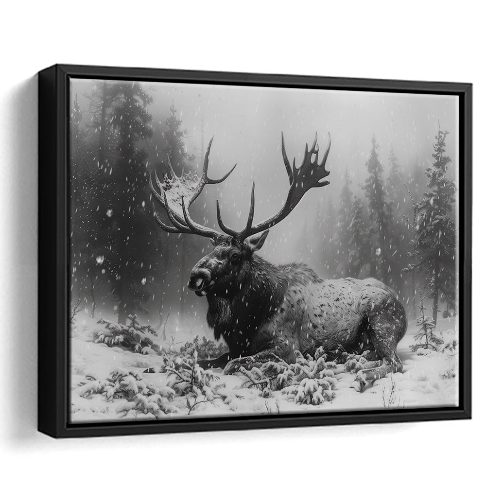 Black And White A Large Moose Lying in Winter Forest, Floating Framed Canvas Print Wall Art