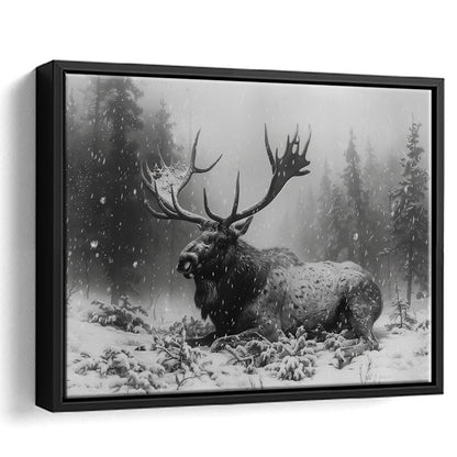 Black And White A Large Moose Lying in Winter Forest, Floating Framed Canvas Print Wall Art