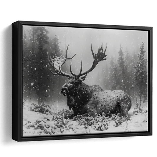 Black And White A Large Moose Lying in Winter Forest, Floating Framed Canvas Print Wall Art