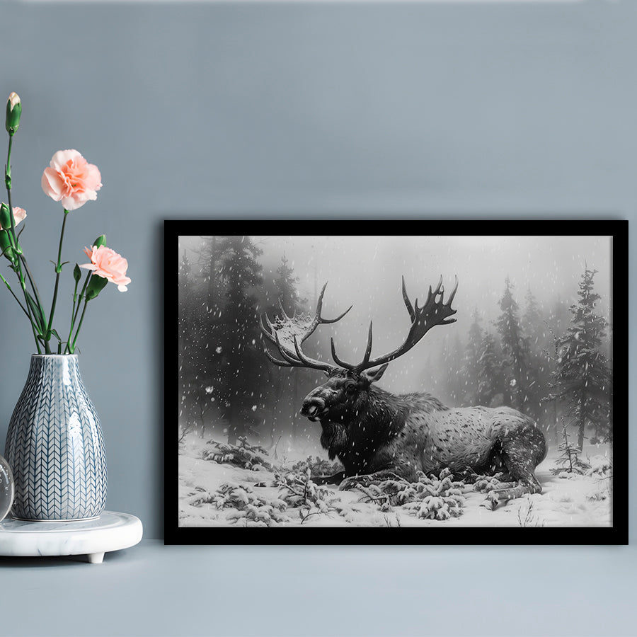 Black And White A Large Moose Lying in Winter Forest, Framed Art Print Wall Decor, Framed Picture