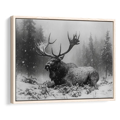 Black And White A Large Moose Lying in Winter Forest, Floating Framed Canvas Print Wall Art