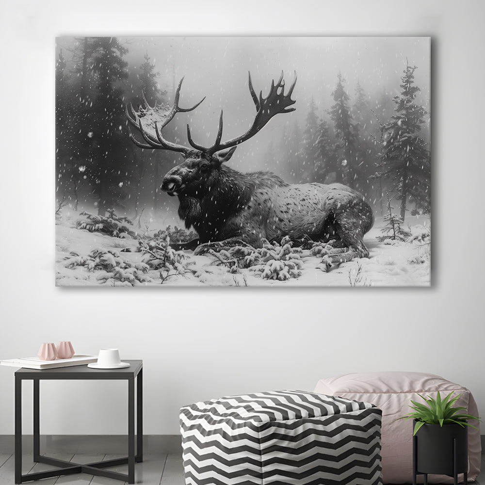Black And White A Large Moose Lying in Winter Forest, Canvas Print Wall Art Home Decor