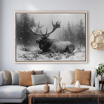 Black And White A Large Moose Lying in Winter Forest, Floating Framed Canvas Print Wall Art