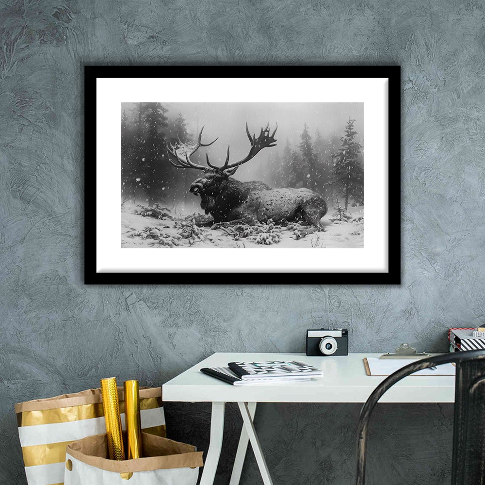 Black And White A Large Moose Lying in Winter Forest, Framed Art Print White Border Wall Decor