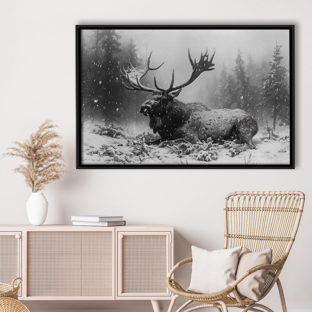 Black And White A Large Moose Lying in Winter Forest, Floating Framed Canvas Print Wall Art