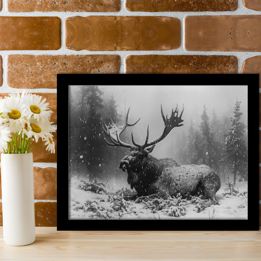 Black And White A Large Moose Lying in Winter Forest, Framed Art Print Wall Decor, Framed Picture