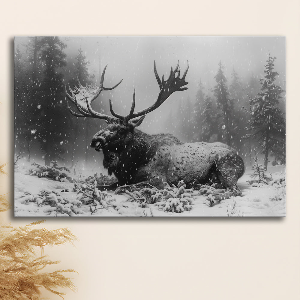 Black And White A Large Moose Lying in Winter Forest, Canvas Print Wall Art Home Decor