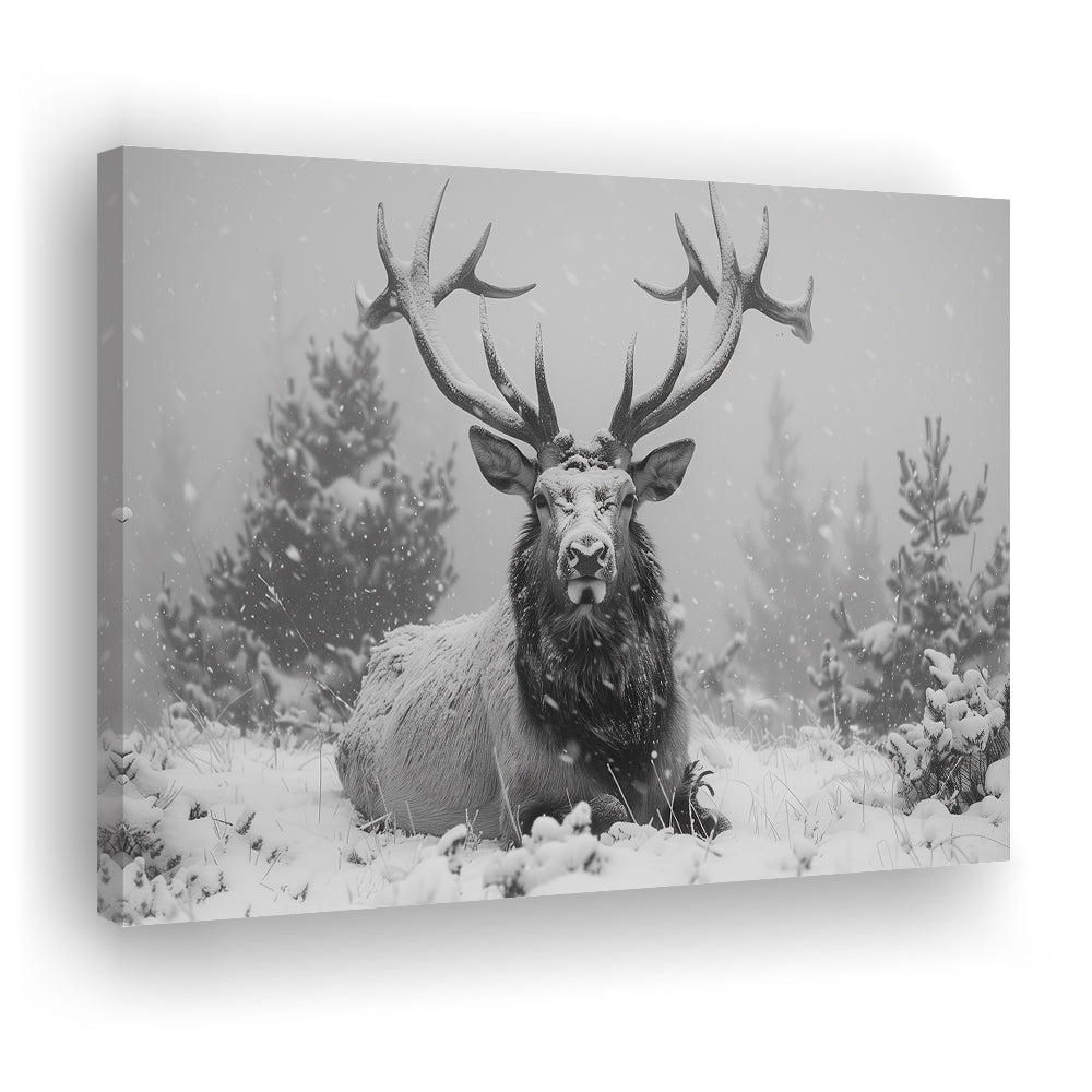 Black And White Elk With Antlers Lying in Forest, Canvas Art Decor Print, Painting Art, Canvas Print Wall Art Home Decor