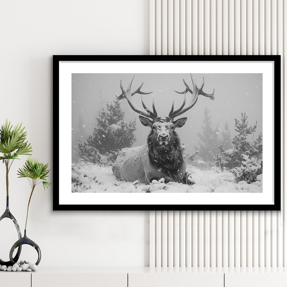Black And White Elk With Antlers Lying in Forest, Framed  Print, Painting Art, Framed Art Print White Border Wall Decor