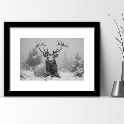 Black And White Elk With Antlers Lying in Forest, Framed  Print, Painting Art, Framed Art Print White Border Wall Decor