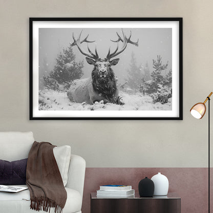 Black And White Elk With Antlers Lying in Forest, Framed  Print, Painting Art, Framed Art Print White Border Wall Decor
