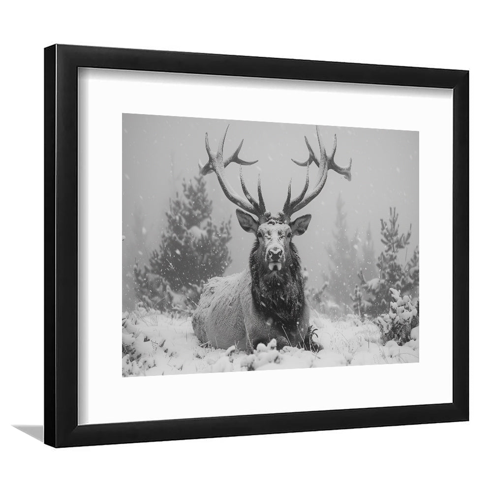 Black And White Elk With Antlers Lying in Forest, Framed  Print, Painting Art, Framed Art Print White Border Wall Decor