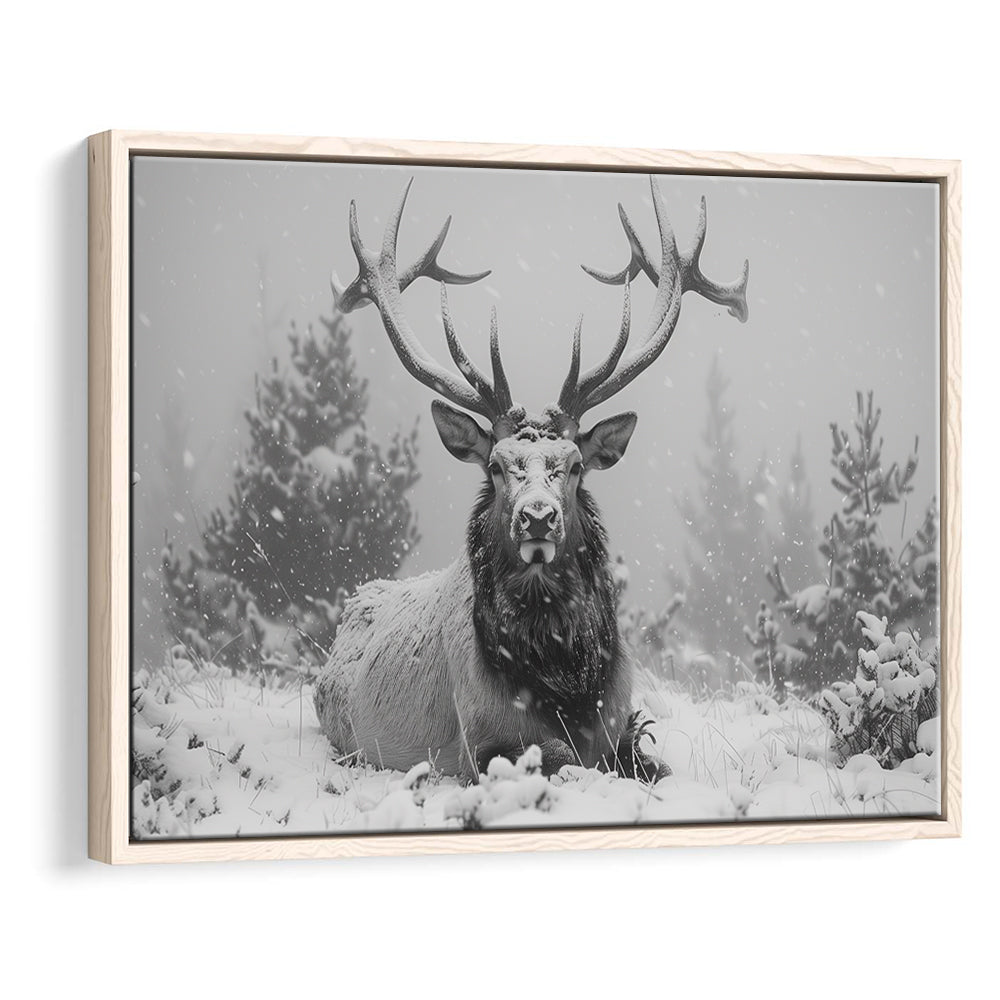 Black And White Elk With Antlers Lying in Forest, Framed Canvas Print, Painting Art, Floating Framed Canvas Wall Art