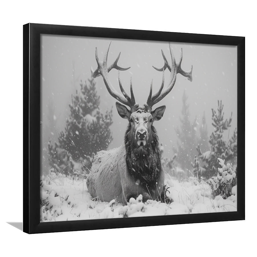 Black And White Elk With Antlers Lying in Forest, Framed  Print, Painting Art, Framed Art Print Wall Decor, Framed Picture