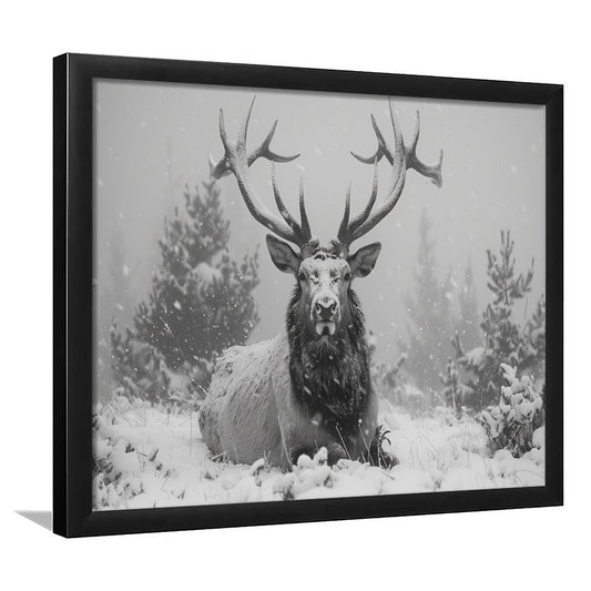 Black And White Elk With Antlers Lying in Forest, Framed  Print, Painting Art, Framed Art Print Wall Decor, Framed Picture