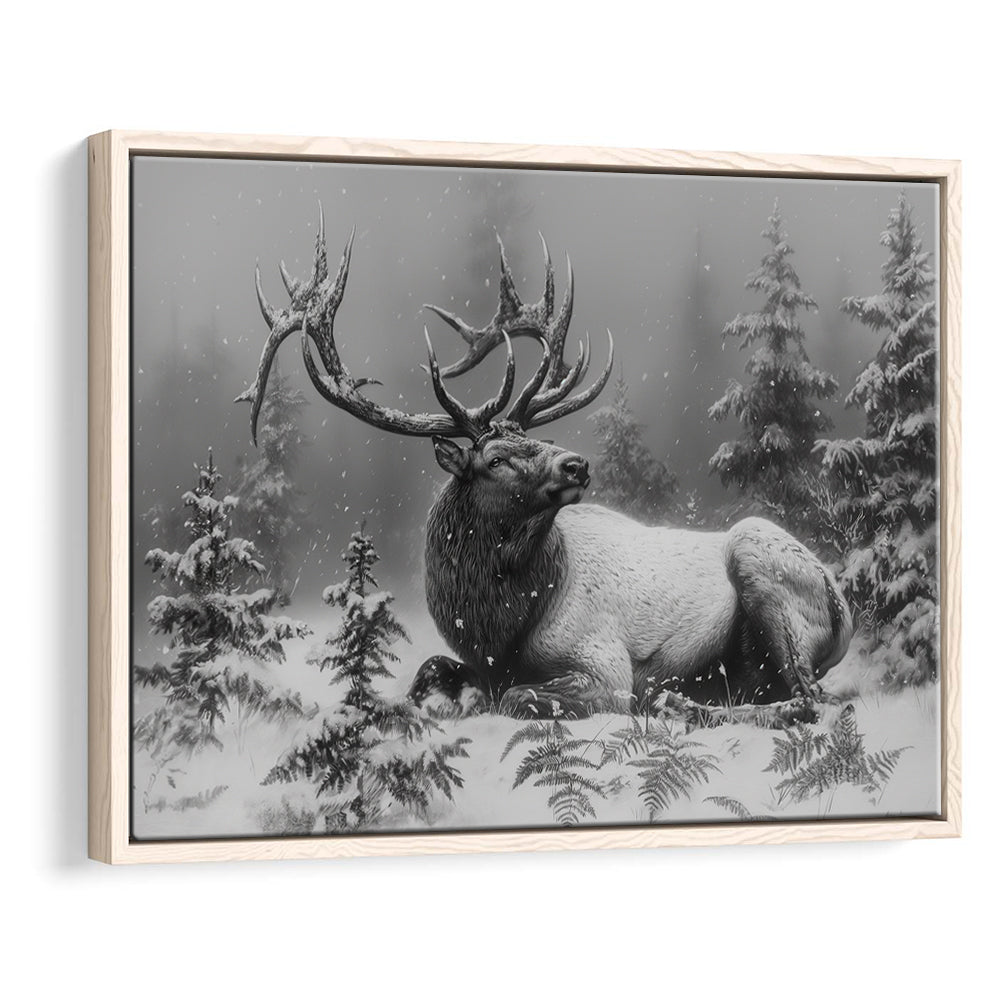 Black And White Elk With Antlers, Framed Canvas Print, Painting Art, Floating Framed Canvas Print Wall Art