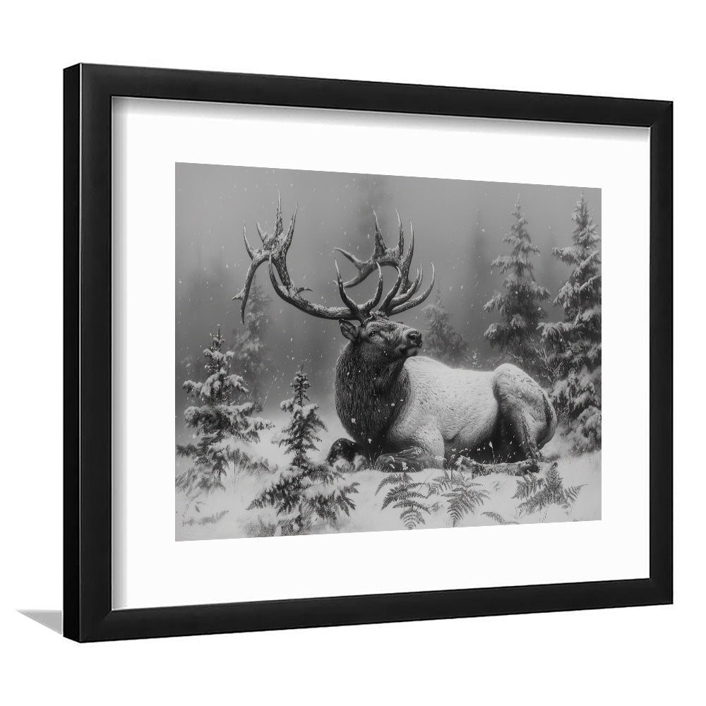 Black And White Elk With Antlers, Framed  Print, Painting Art, Framed Art Print White Border Wall Decor