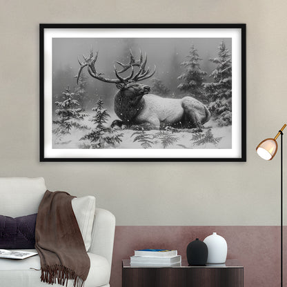 Black And White Elk With Antlers, Framed  Print, Painting Art, Framed Art Print White Border Wall Decor