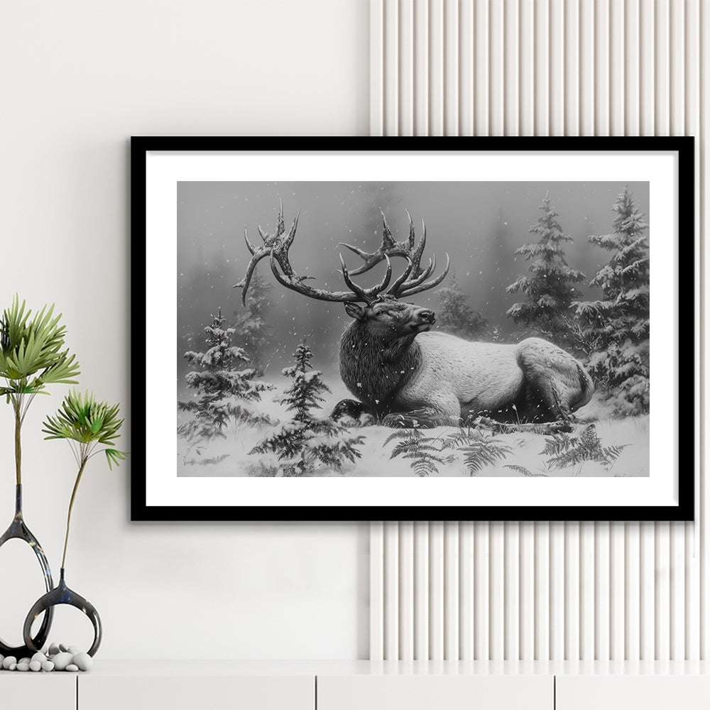 Black And White Elk With Antlers, Framed  Print, Painting Art, Framed Art Print White Border Wall Decor