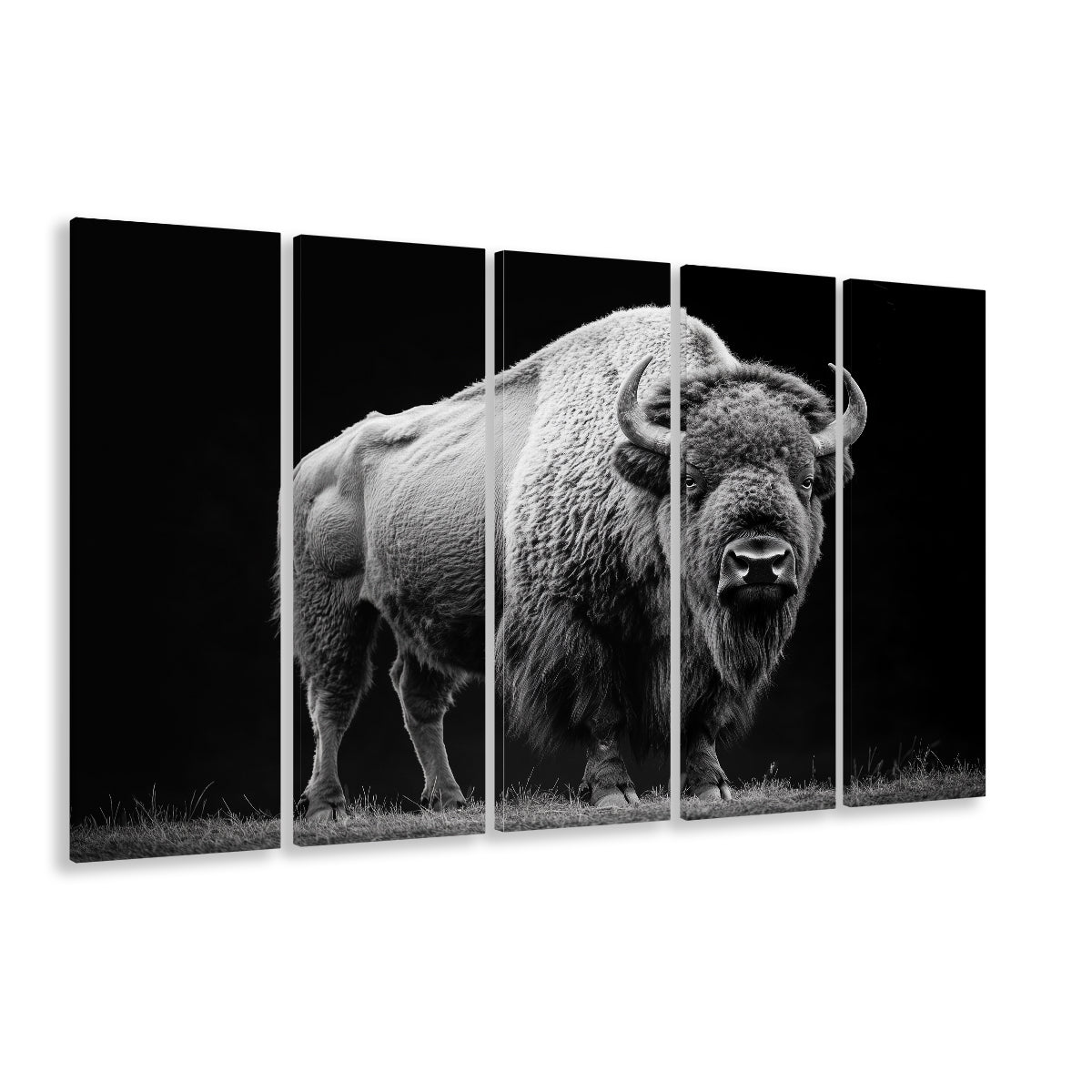 Black And White Photography Bison Portrait, Canvas Art Print, Painting Art, Multi Panels Canvas Print Wall Art