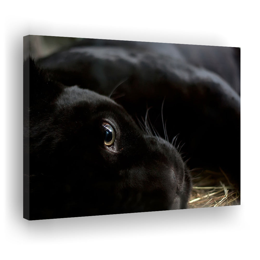 Black Panther Wall Art, Panther Canvas Wall Art, Panther Wall Decoration, Cavas Print Wall Art Hom Decor