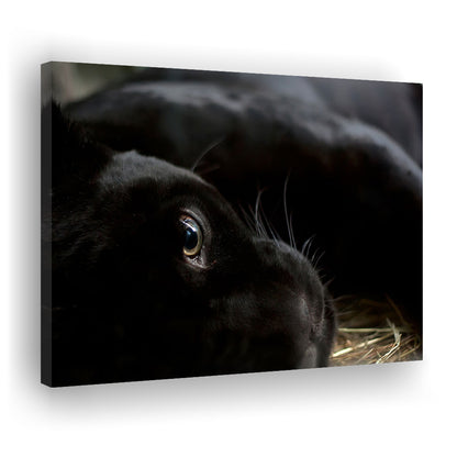 Black Panther Wall Art, Panther Canvas Wall Art, Panther Wall Decoration, Cavas Print Wall Art Hom Decor