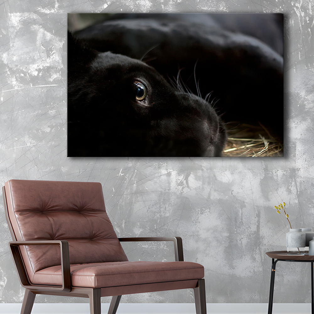 Black Panther Wall Art, Panther Canvas Wall Art, Panther Wall Decoration, Cavas Print Wall Art Hom Decor