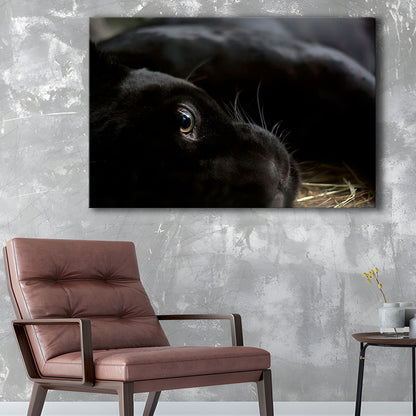 Black Panther Wall Art, Panther Canvas Wall Art, Panther Wall Decoration, Cavas Print Wall Art Hom Decor