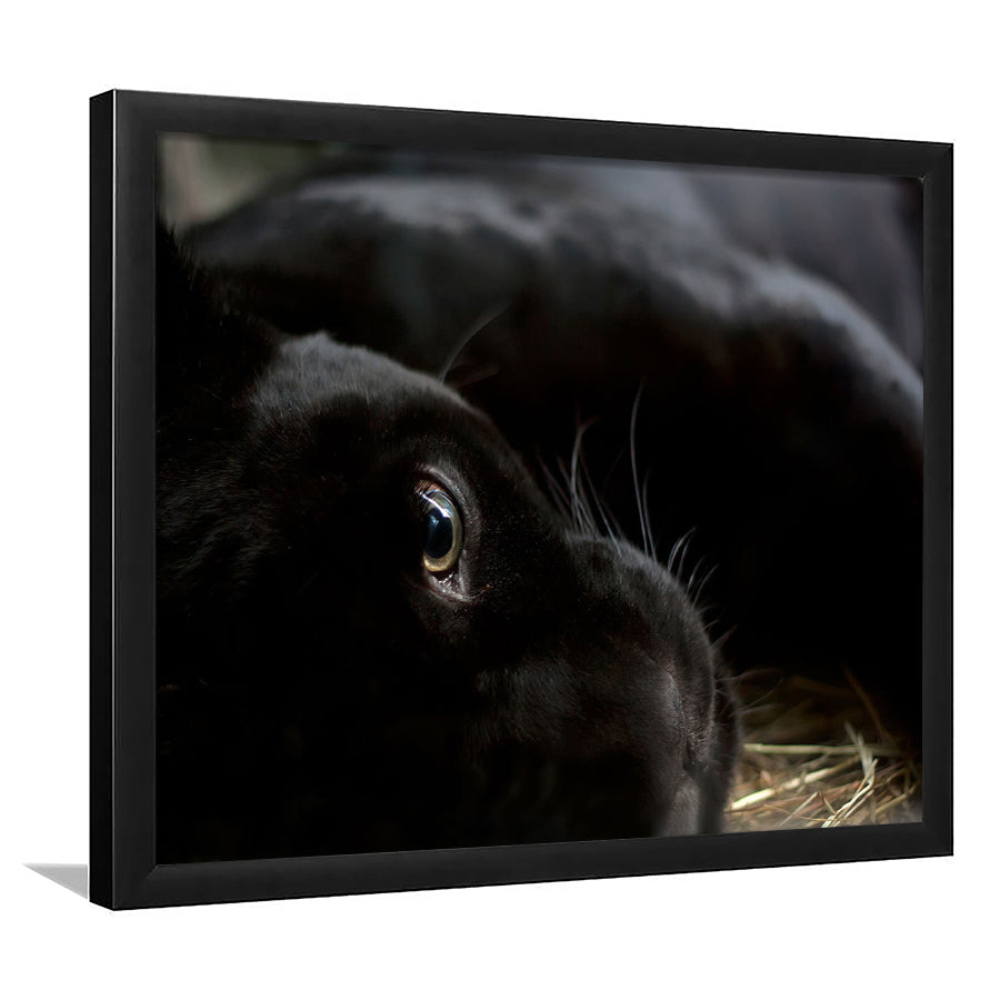 Black Panther Wall Art, Panther Art Wall Art, Panther Wall Decoration, Framed Art Print, Picture Framed