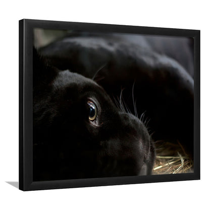 Black Panther Wall Art, Panther Art Wall Art, Panther Wall Decoration, Framed Art Print, Picture Framed