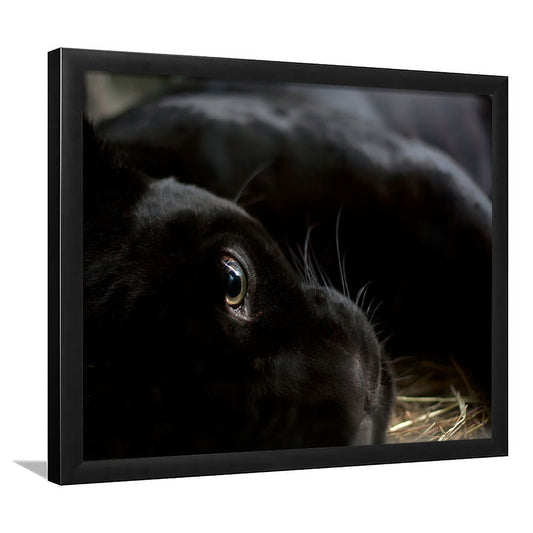Black Panther Wall Art, Panther Art Wall Art, Panther Wall Decoration, Framed Art Print, Picture Framed