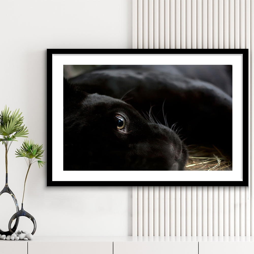 Black Panther Wall Art, Panther Wall Art, Panther Wall Decoration, Framed Art Print White Border