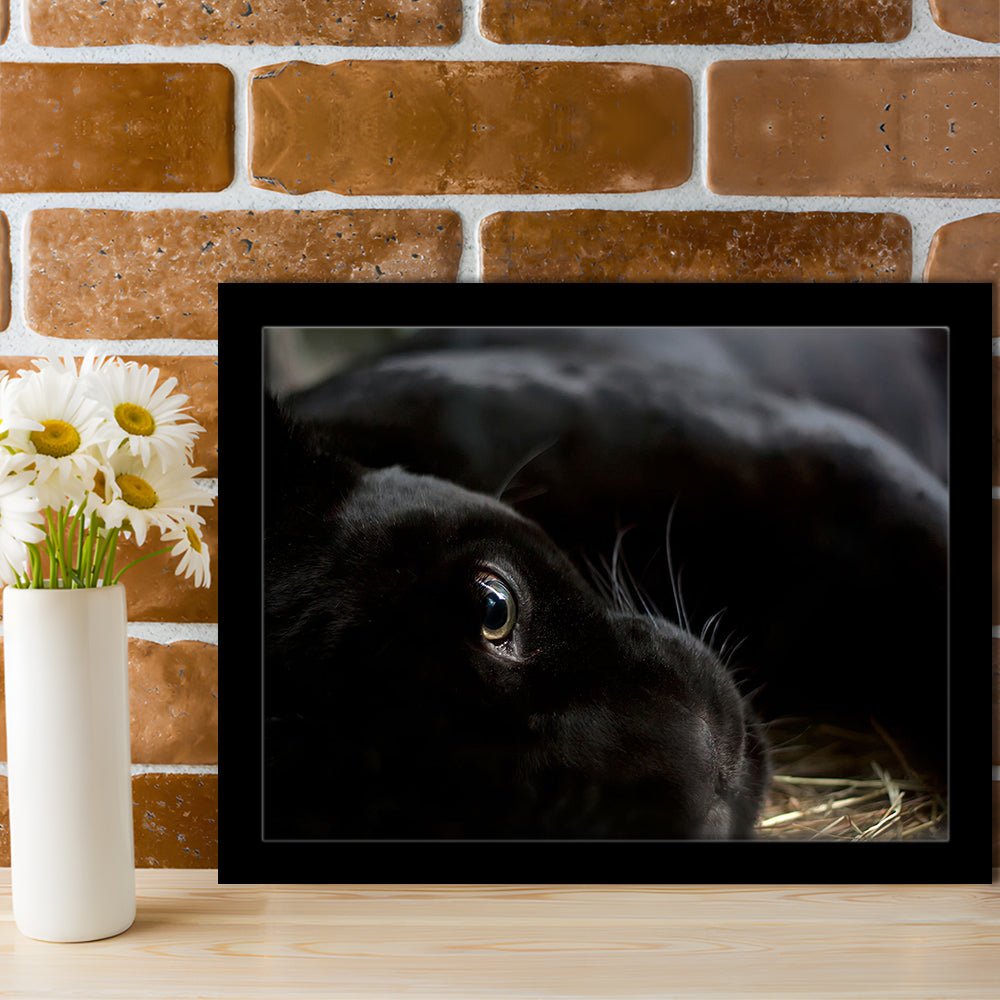 Black Panther Wall Art, Panther Art Wall Art, Panther Wall Decoration, Framed Art Print, Picture Framed