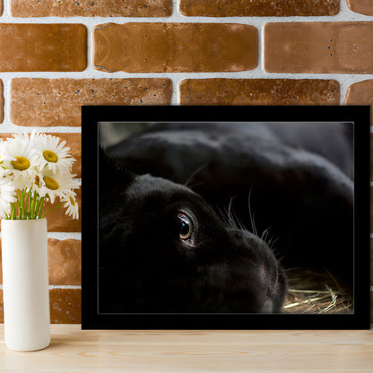 Black Panther Wall Art, Panther Art Wall Art, Panther Wall Decoration, Framed Art Print, Picture Framed